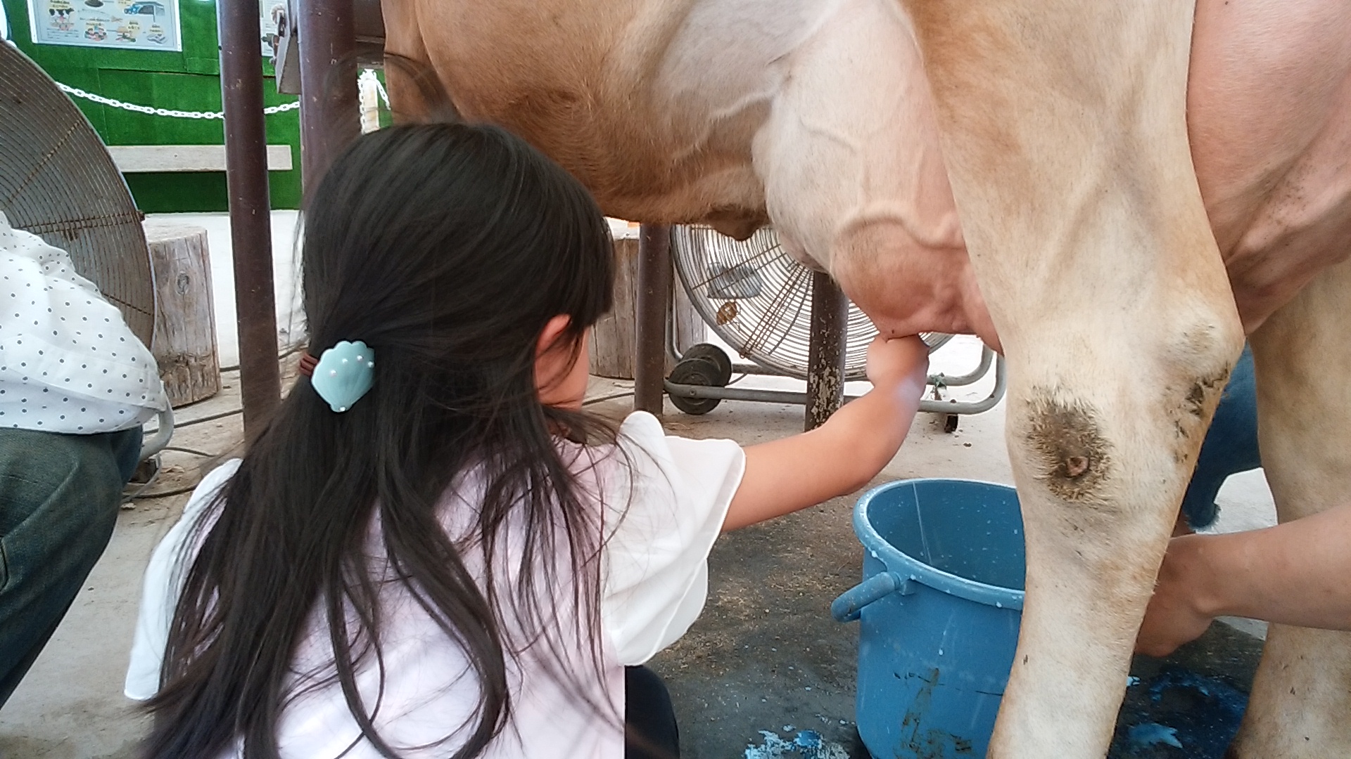 ライフと学ぶ牛乳ができるまでキャンペーン