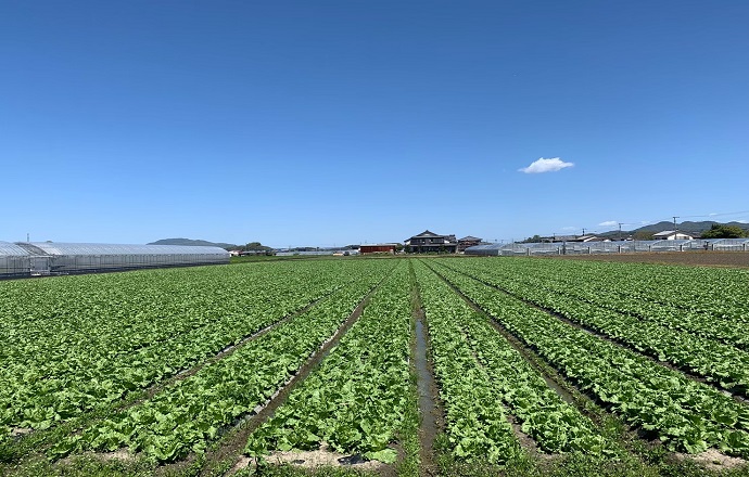開催中のキャンペーン